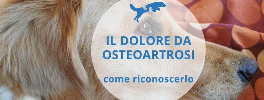 come riconoscere il dolore da osteoartrosi nel cane