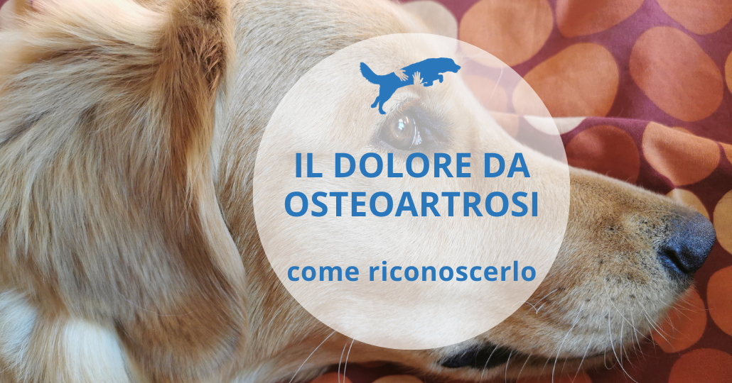 come riconoscere il dolore da osteoartrosi nel cane