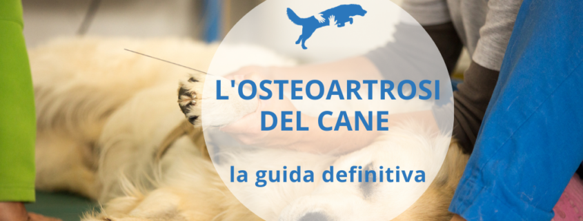 osteoartrosi del cane la guida definitiva