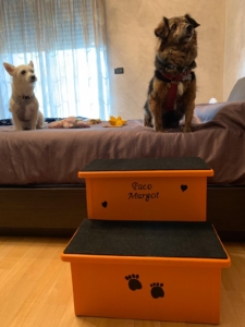 scalette per cani artrosi