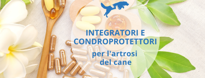 integratori e condroprotettori per l'artrosi nel cane