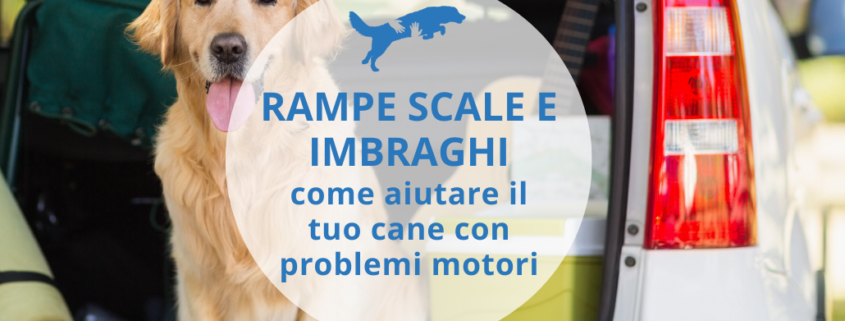 rampe scale imbraghi per il cane