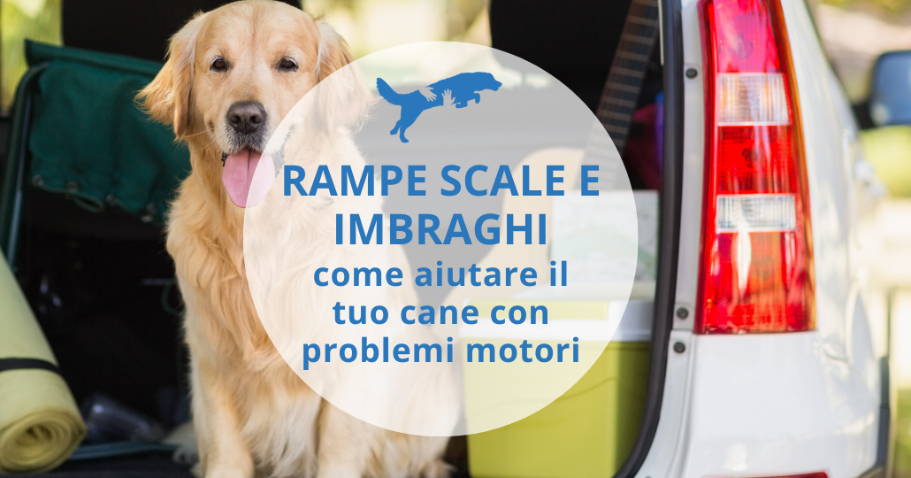 rampe scale imbraghi per il cane