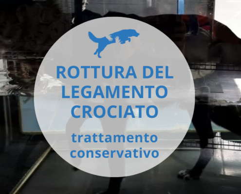 come curare la rottura del legamento crociato senza operare
