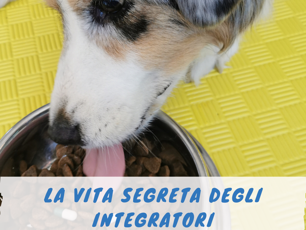 integratori cane