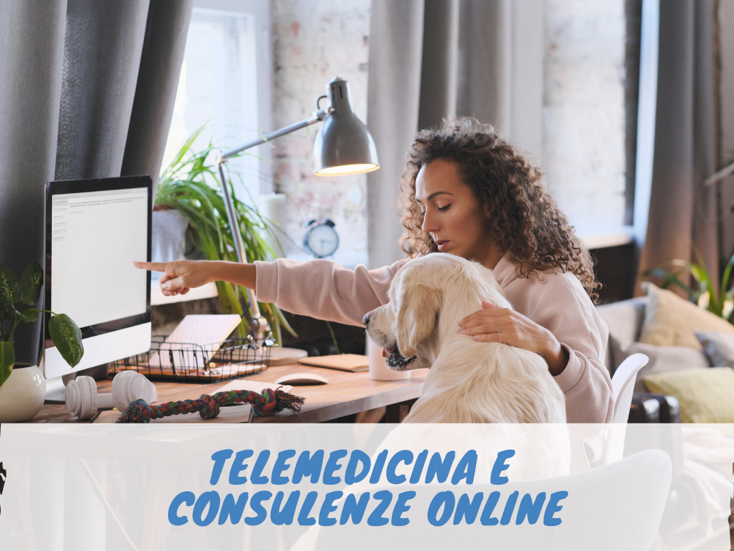 consulenze online