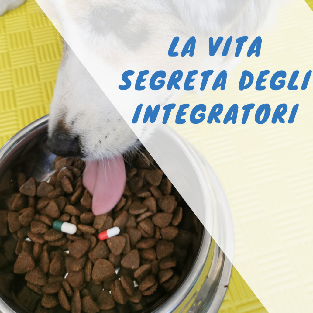 integratori cane integratori cane