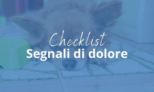 segnali di dolore cane segnali di dolore cane