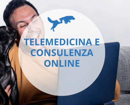 cosa sono e a cosa servono telemedicina e consulenza online per il tuo cane e gatto