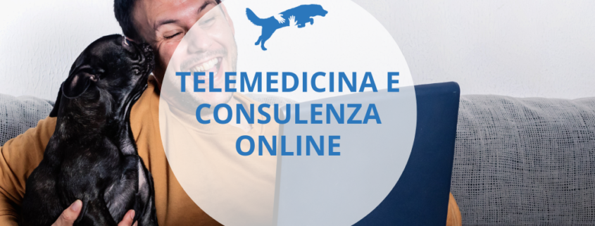 cosa sono e a cosa servono telemedicina e consulenza online per il tuo cane e gatto