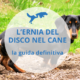 terapie ernia del disco cane paralizzato
