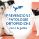 come prevenire artrosi e displasia nel cane e nel gatto