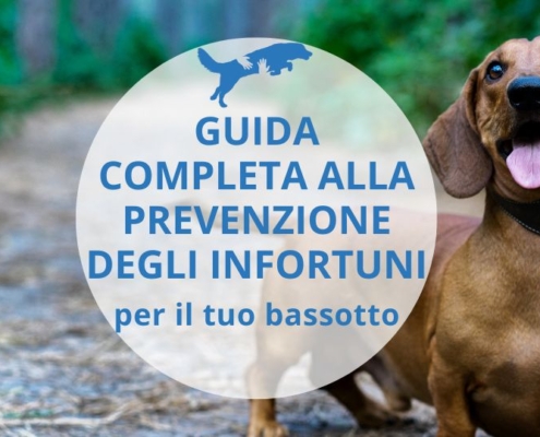 come prevenire ernia cane bassotto