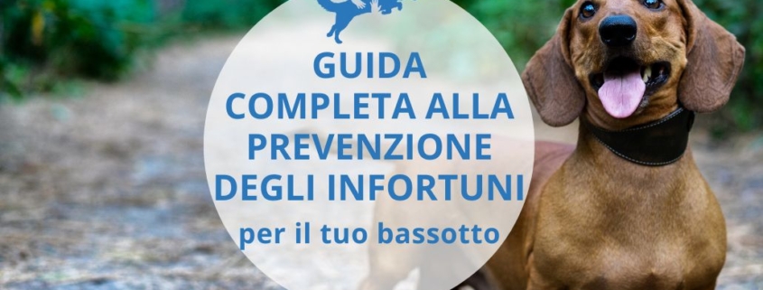 come prevenire ernia cane bassotto