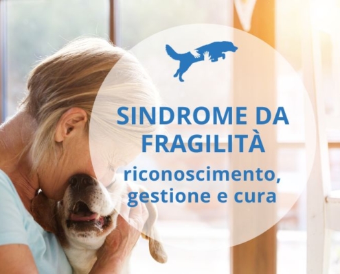 è necessario avere grande cura e attenzione per i cani anziani