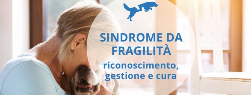 è necessario avere grande cura e attenzione per i cani anziani