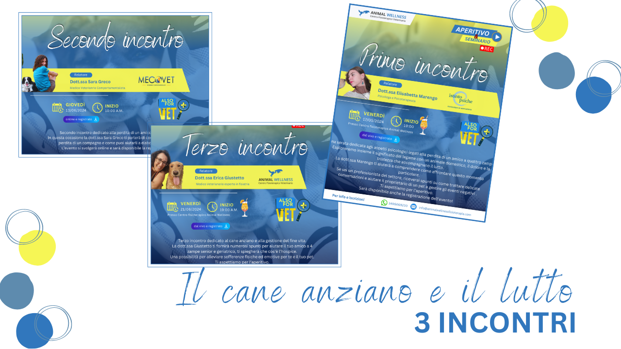 webinar lutto immagine newslettr