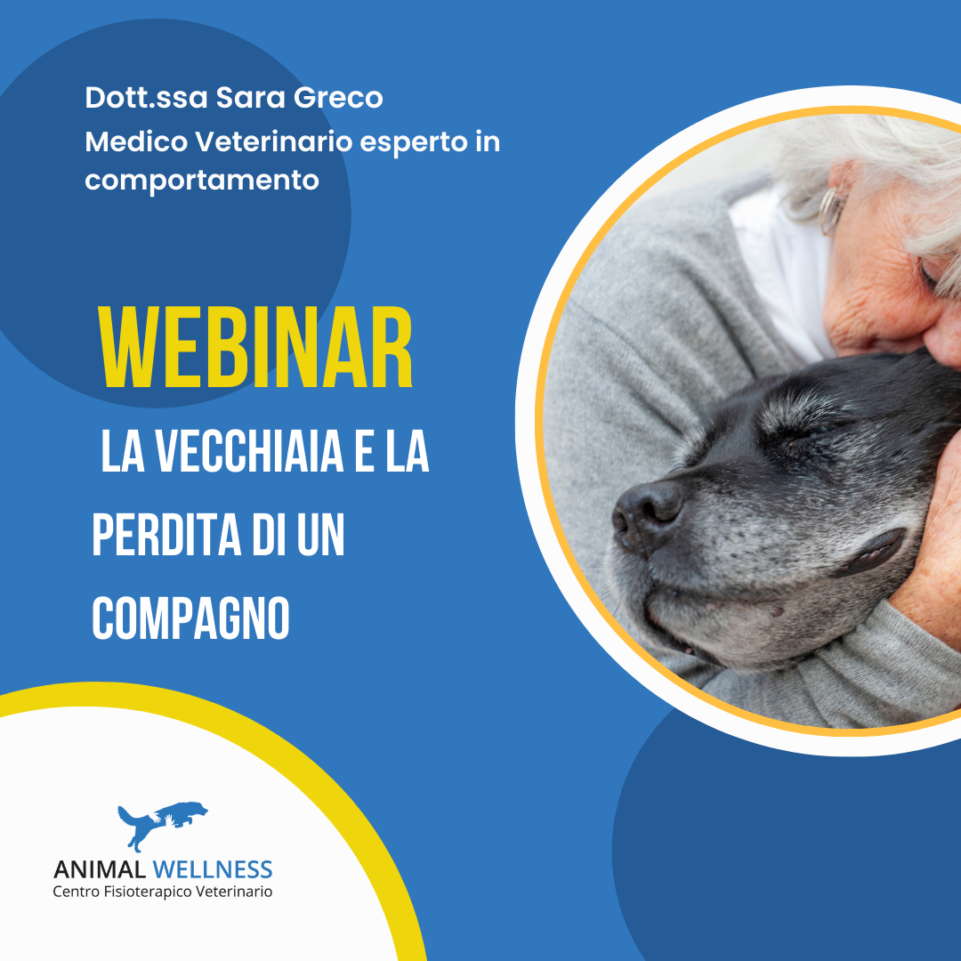 webinar lutto perdita di un compagno