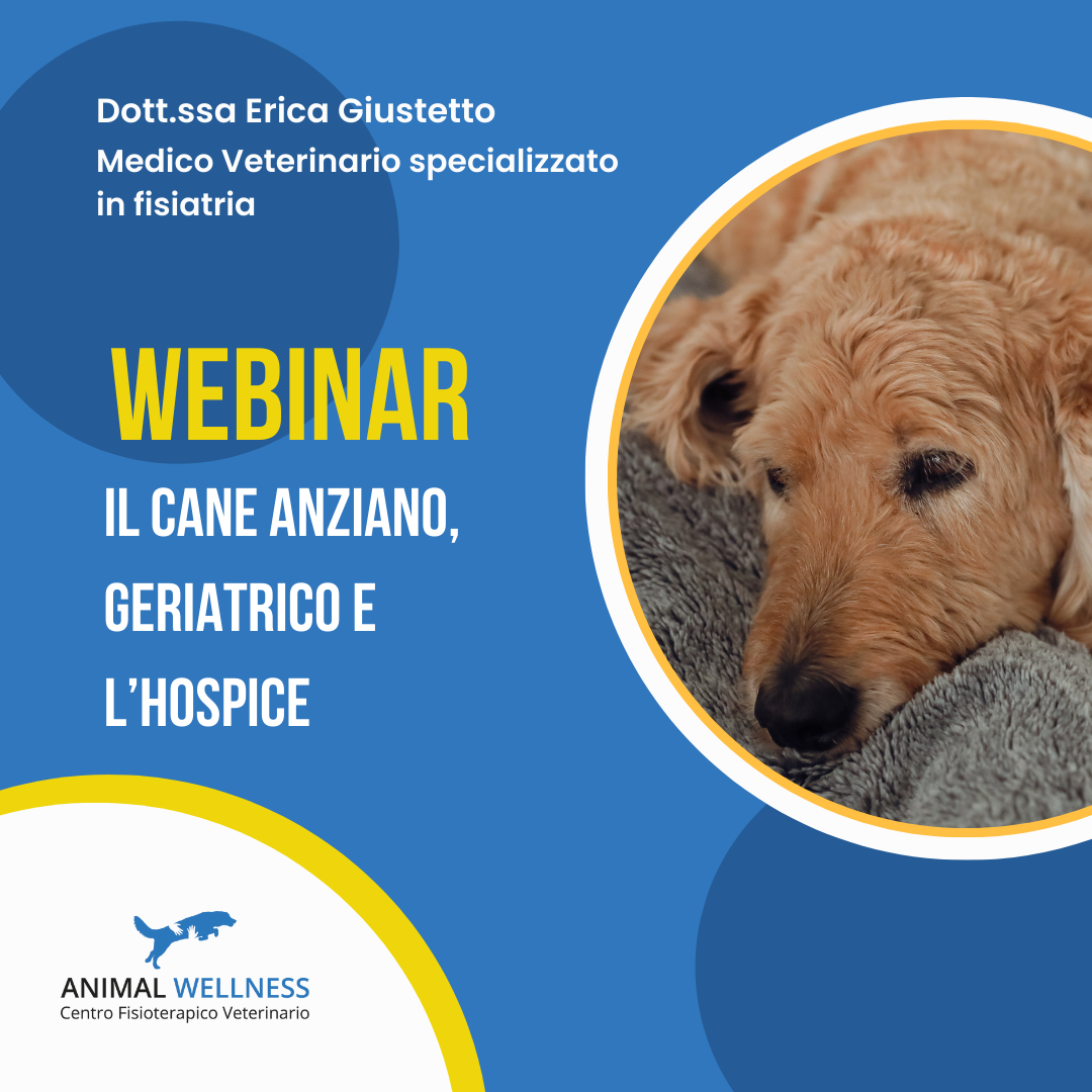 webinar cane anziano e geriatrico