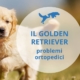 problemi di salute golden retriever