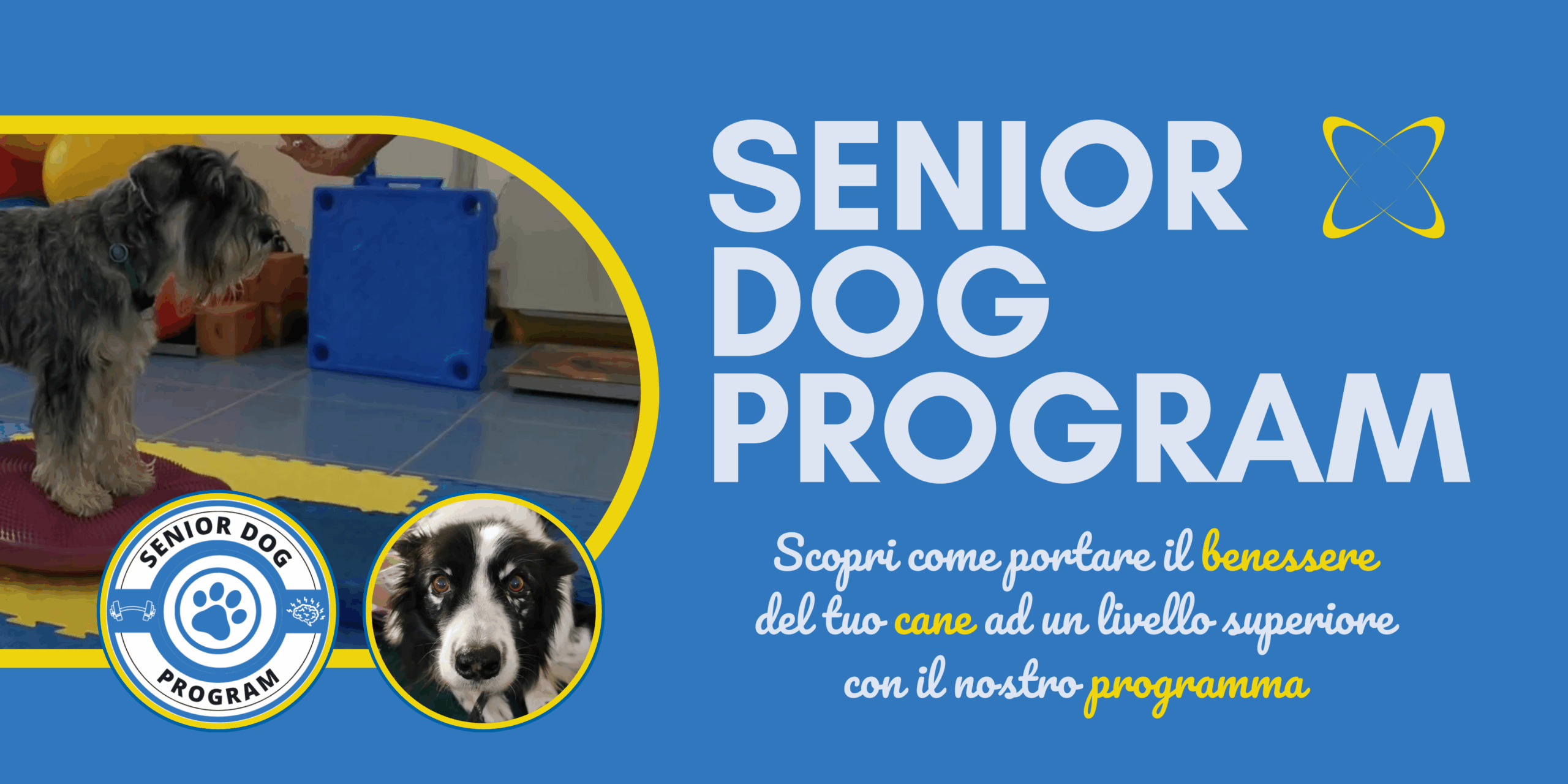 programma per la salute fisica e mentale dei cani anziani