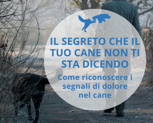 segnali dolore cane, proprietario che passeggia distratto senza osservare il cane